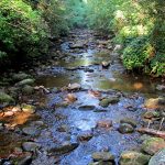 Revise Until You Drop